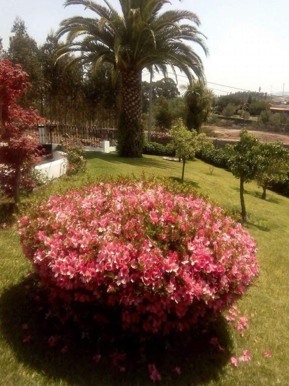 Hotel Vitoria'S House à Vila Nova de Famalicão Extérieur photo